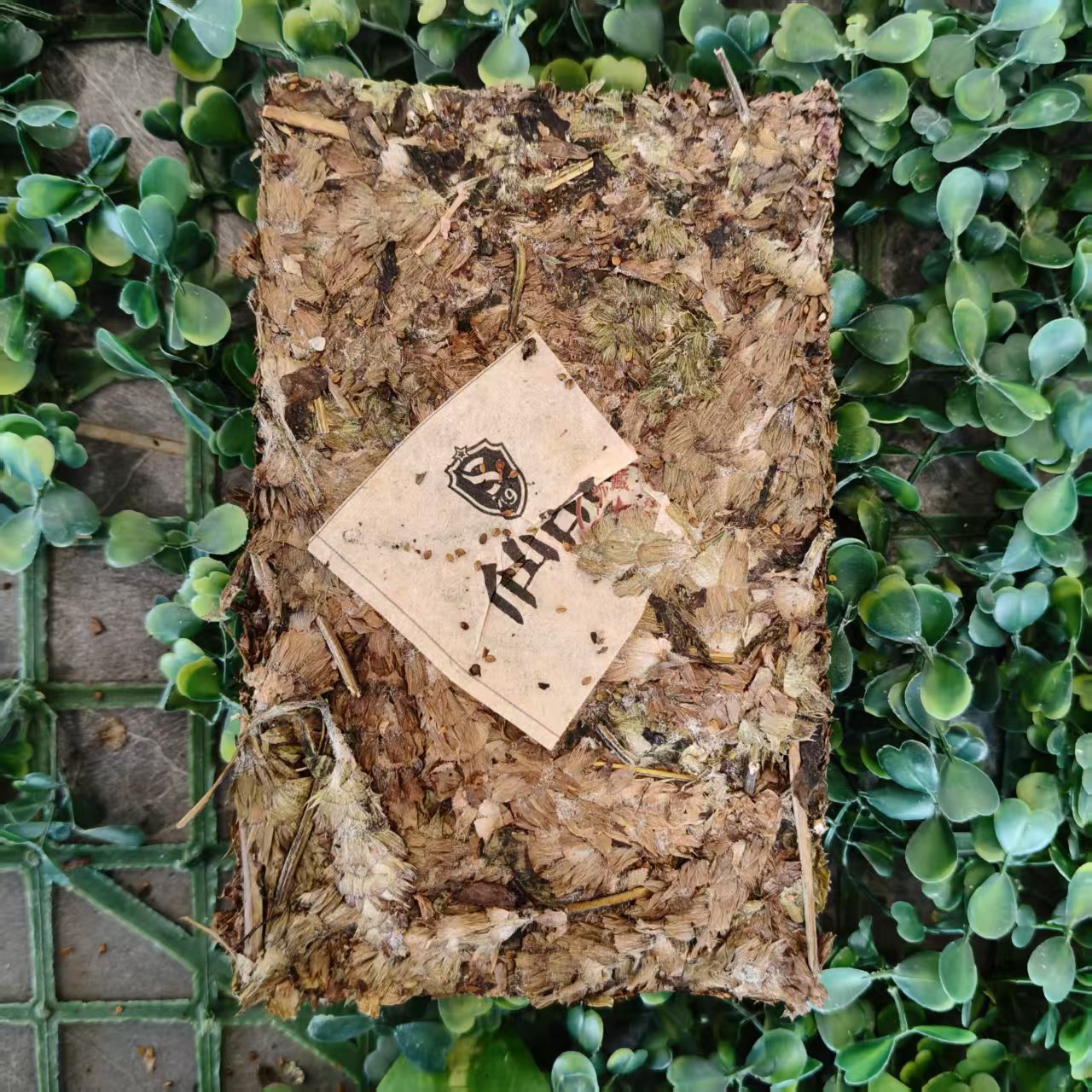 雨腾妹夫   J密“六Y”须M S元 凤羽200g/砖 (7月17）