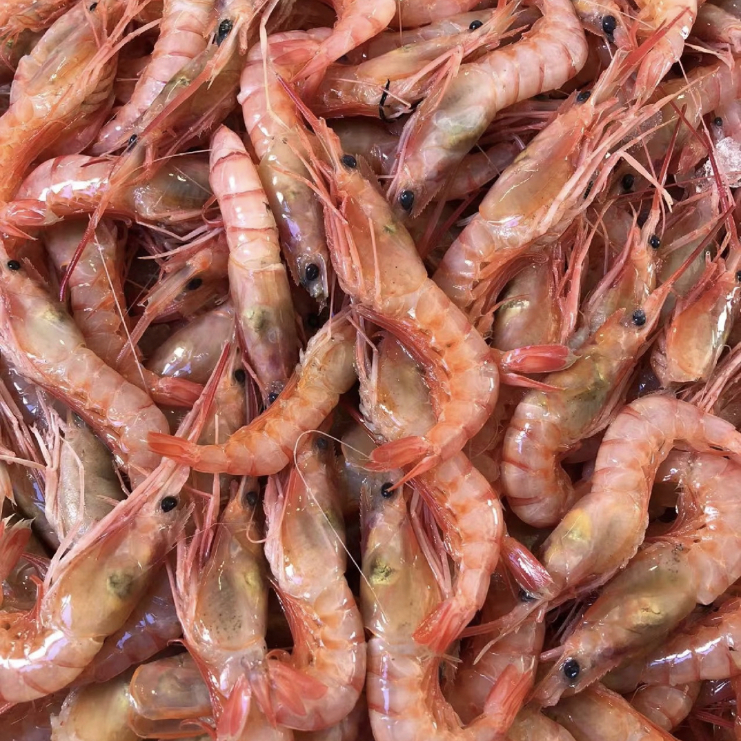 北部湾野生捕捞甜虾 红虾 性价比超高 