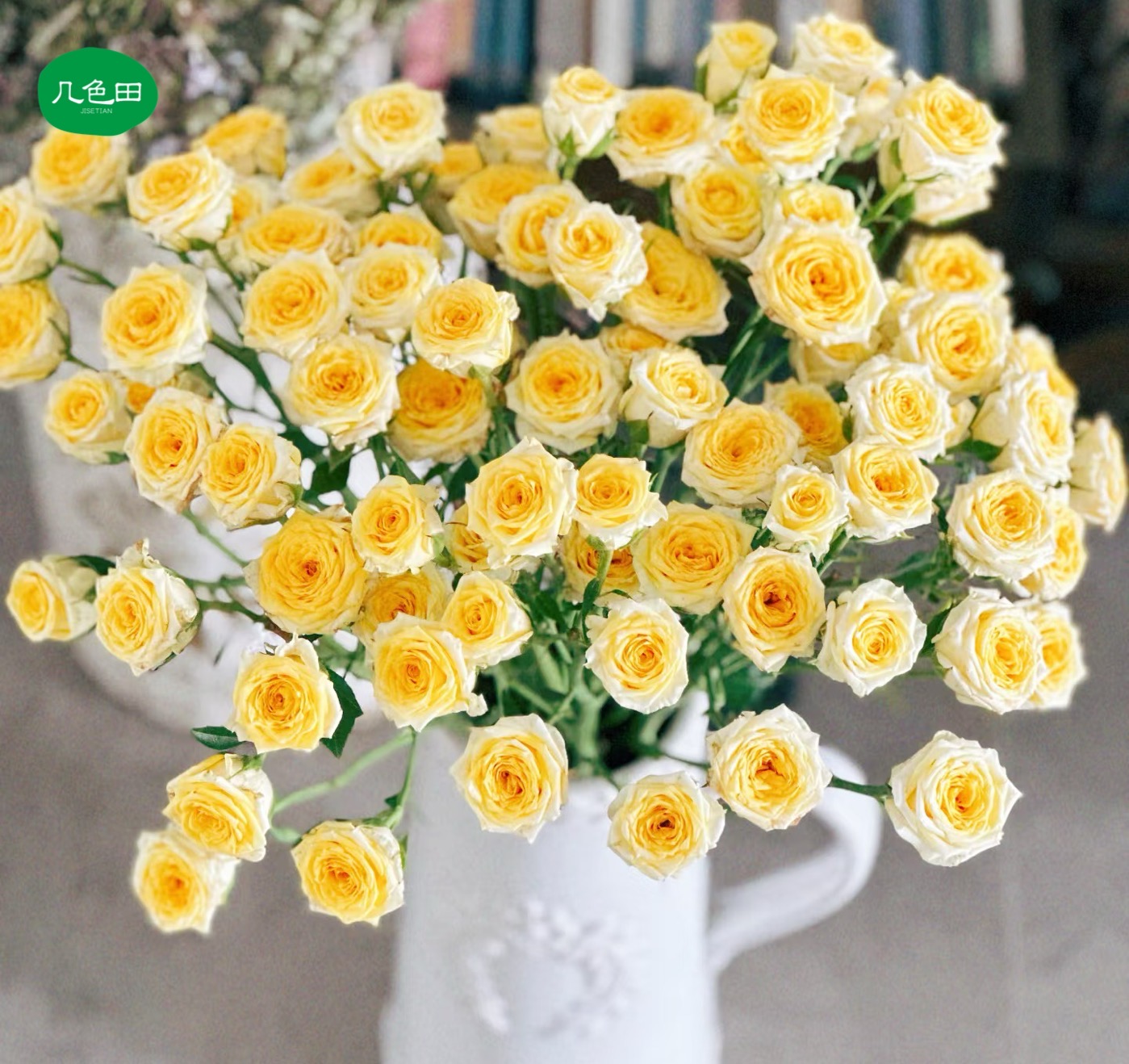 娃娃公主----多头玫瑰云南直发鲜花云南花插花鲜花