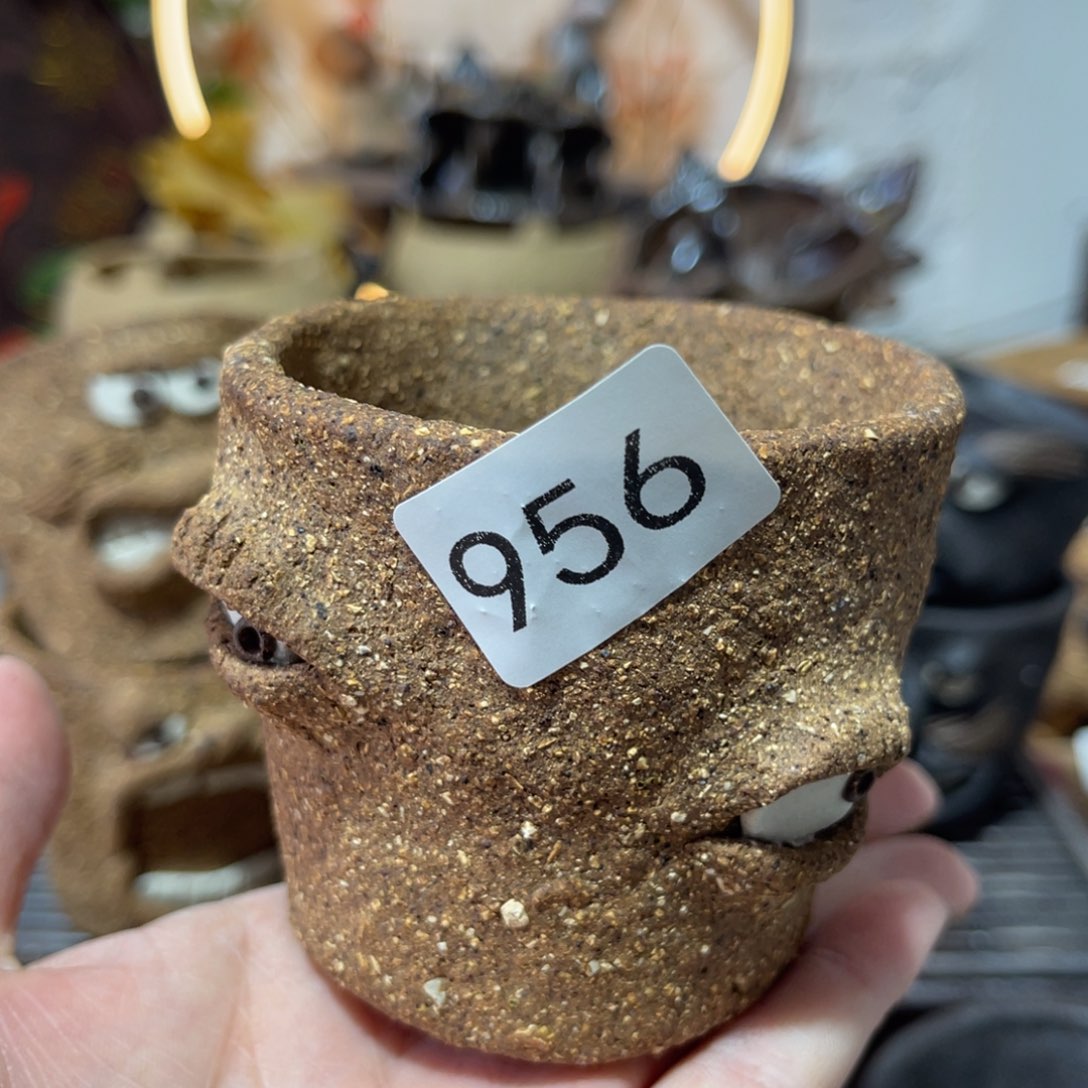 木村信弘柴燒保平