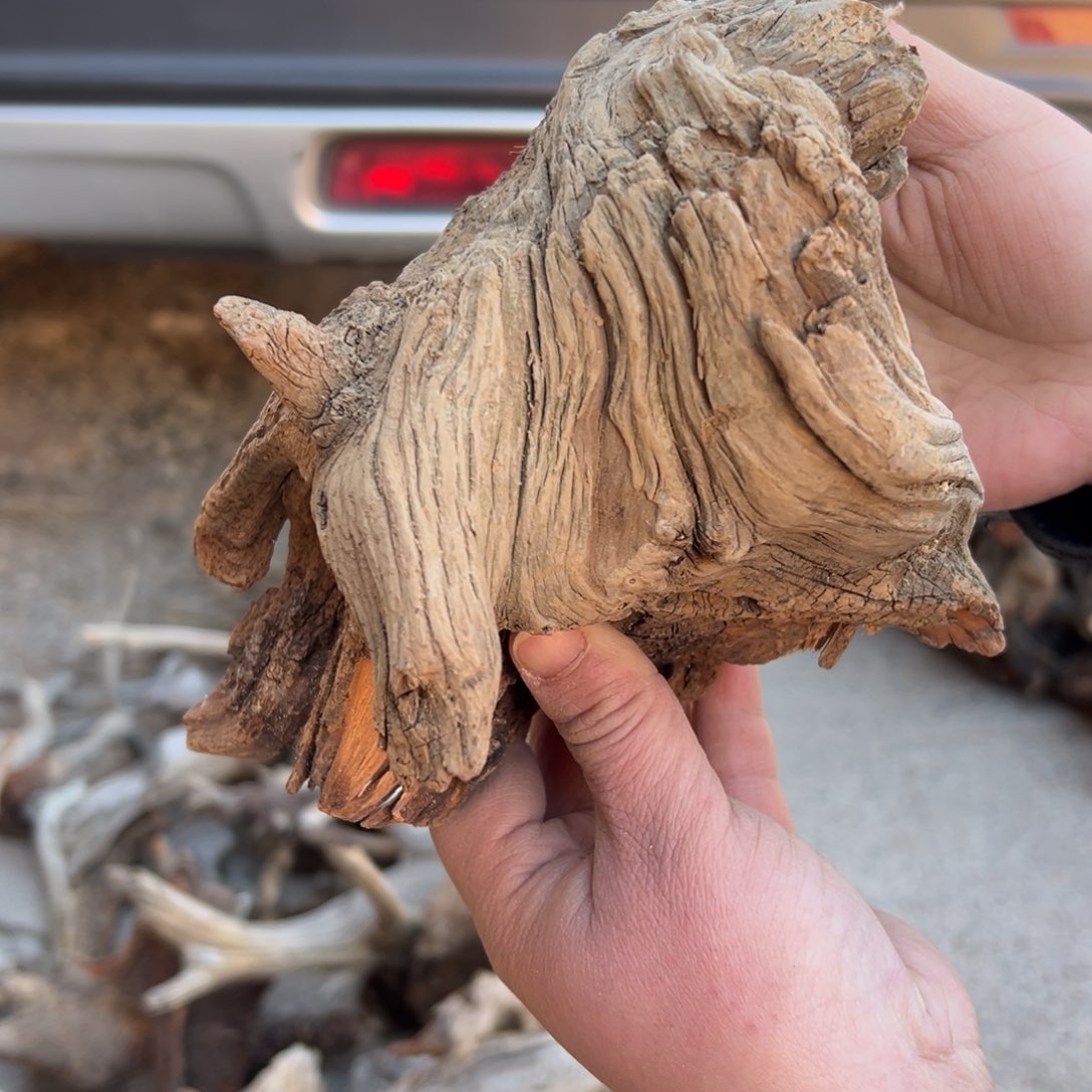 柏木（崖柏）G文玩崖柏