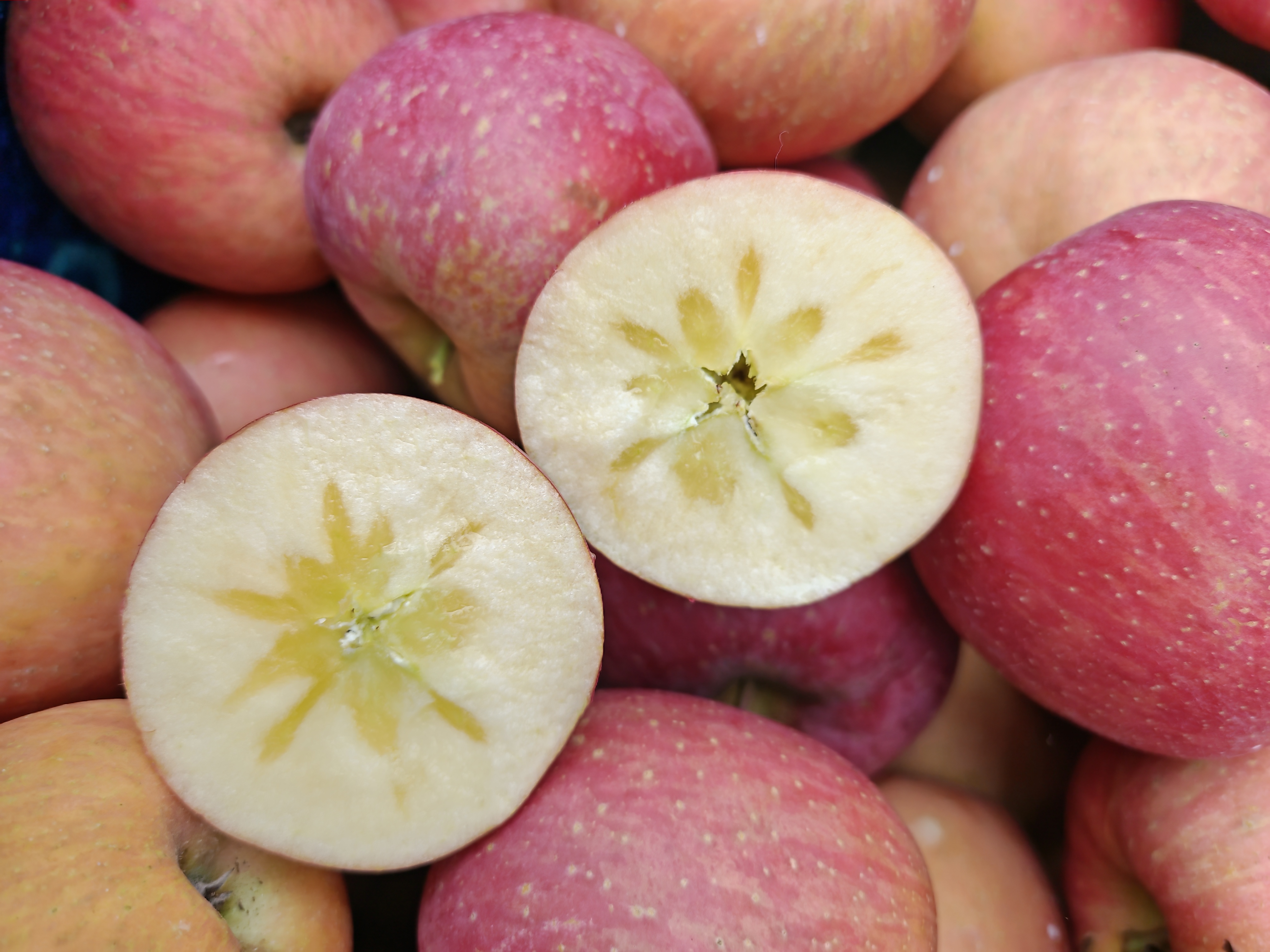 昭通糖心苹果丑高海拔脆甜多汁现摘现发新鲜水果