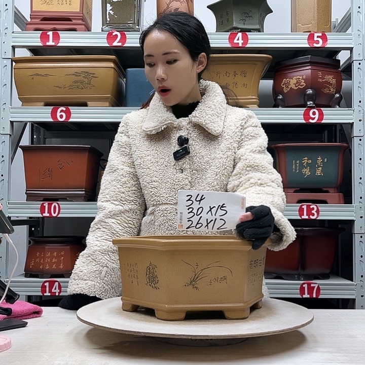 紫砂花盆紫砂花盆