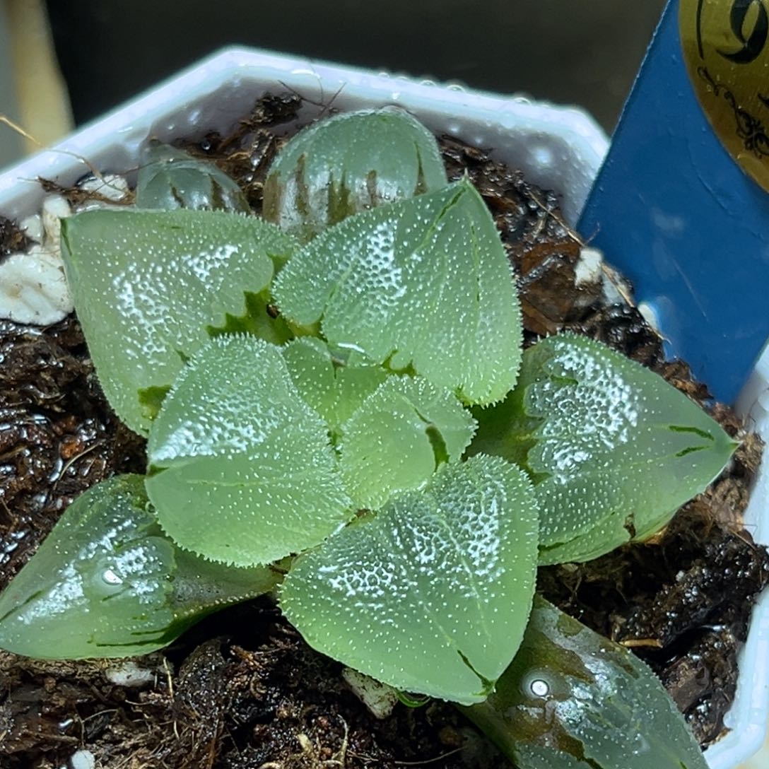 恭喜发财大吉大利913