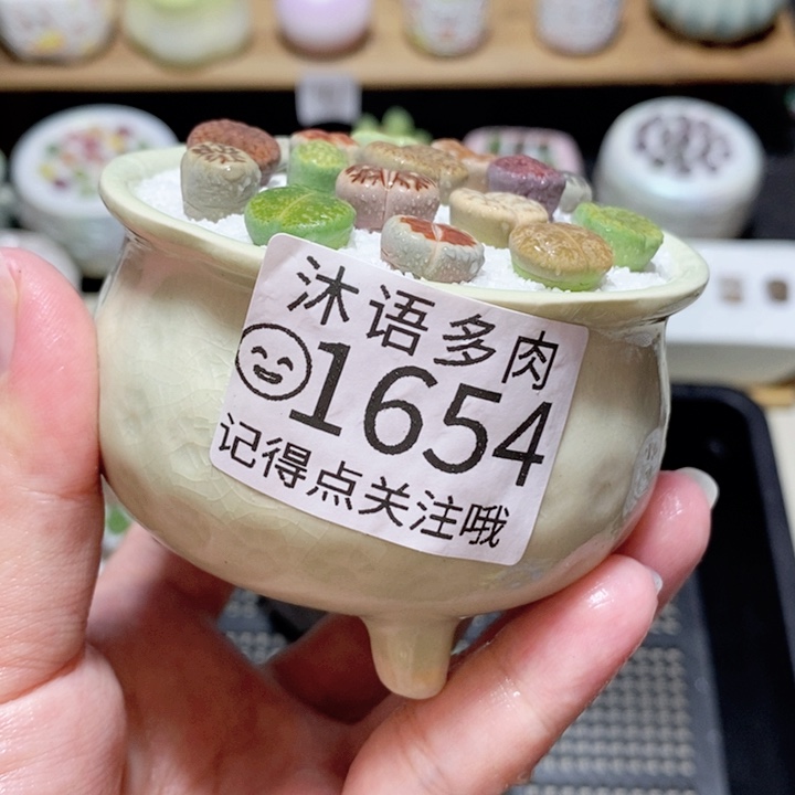 精美盆栽 一物一拍 1654