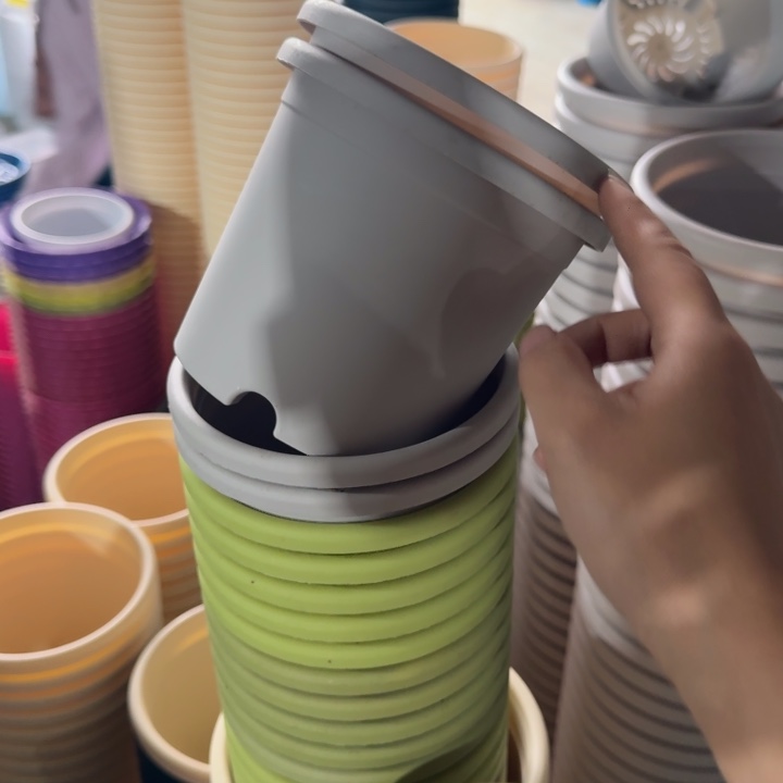 四季1#口径14灰白10个无托