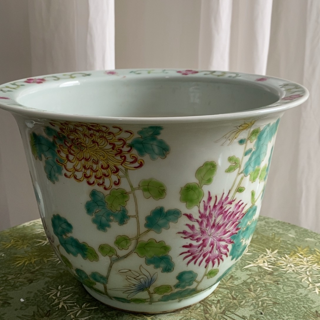 陶土一**芽254868888