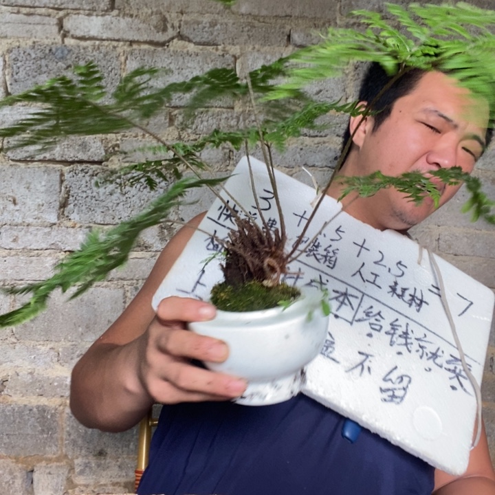 退款拉黑一物一拍108