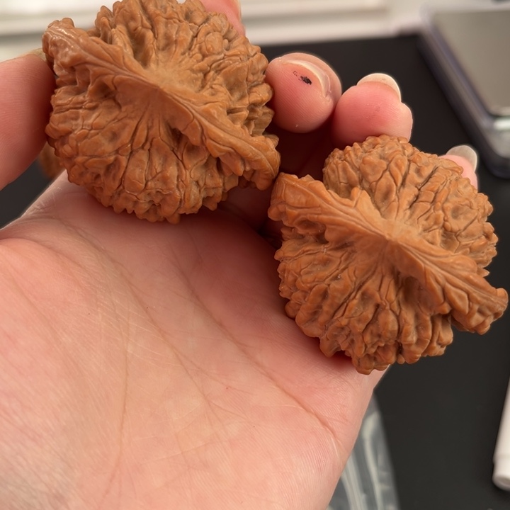 吊坠文玩核桃官帽51