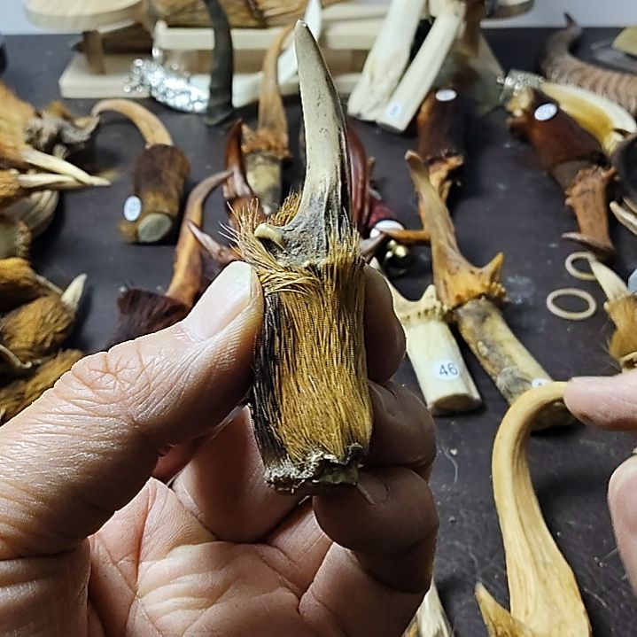 鹿缘坊直播间选货