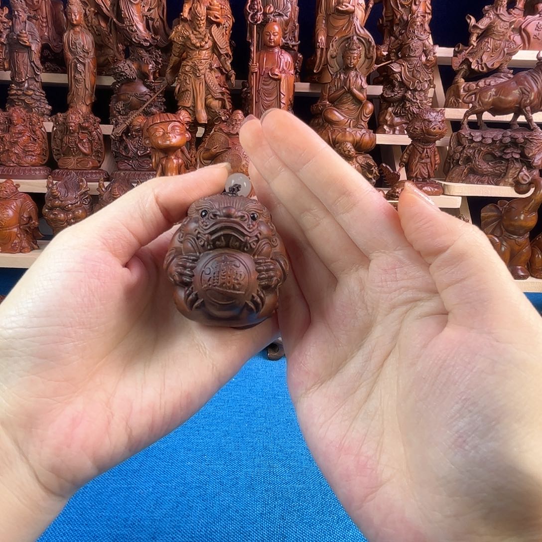 黄杨木小叶黄杨木