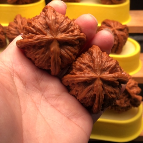 起***～核桃核桃核桃核桃