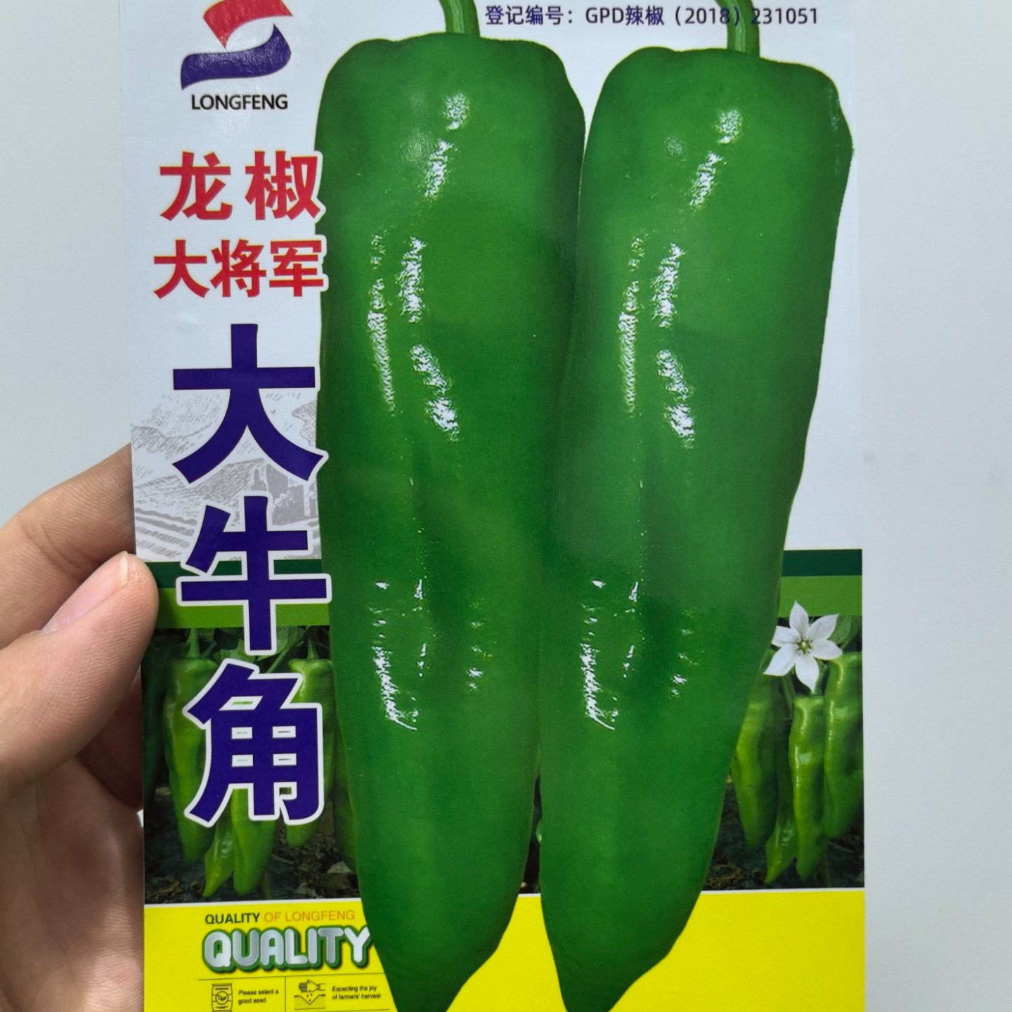 龙椒大牛角辣椒种子大果型肉厚微辣果实光滑