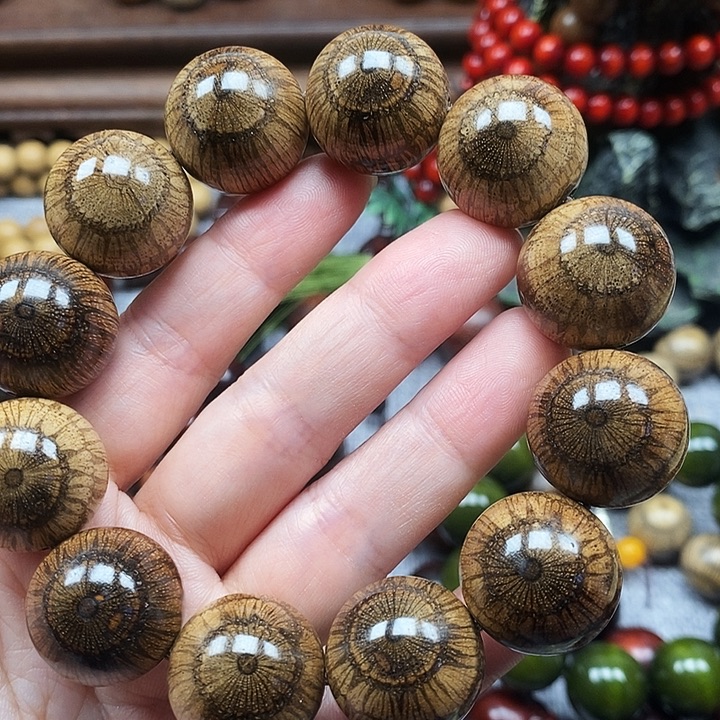 阿***春手串/手链藤类买麻藤