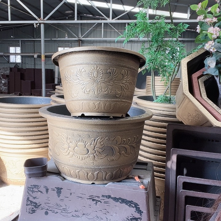 圆78两个有孔的金色