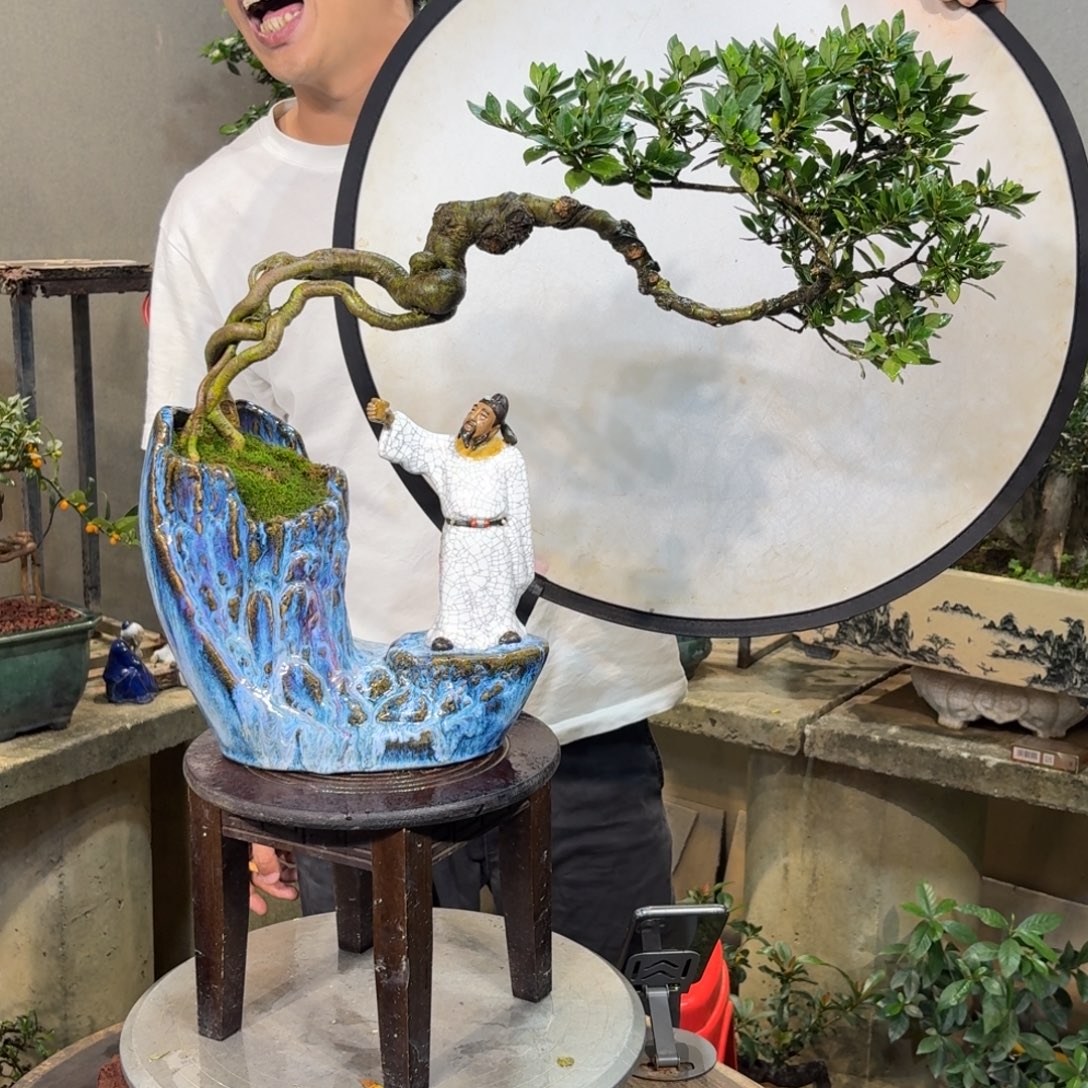 四季揽叶栀子花花开富贵