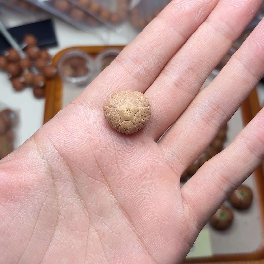 手串凤眼菩提五星三通19+