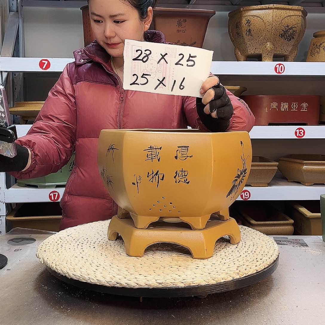 紫砂花盆紫砂花盆