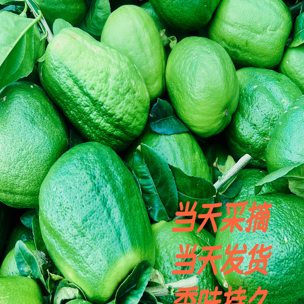 云南农家香橼果清香正宗供果闻香观赏新鲜食用现摘速达产地发水果