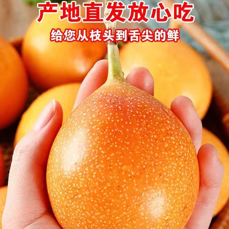 云南热情果/百香果12个礼盒1.5公斤/件