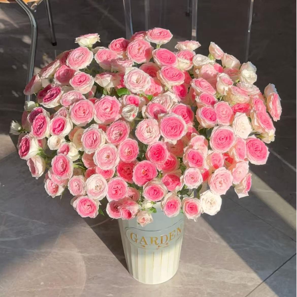 【午夜魔法多头玫瑰10枝】【两单冷链】