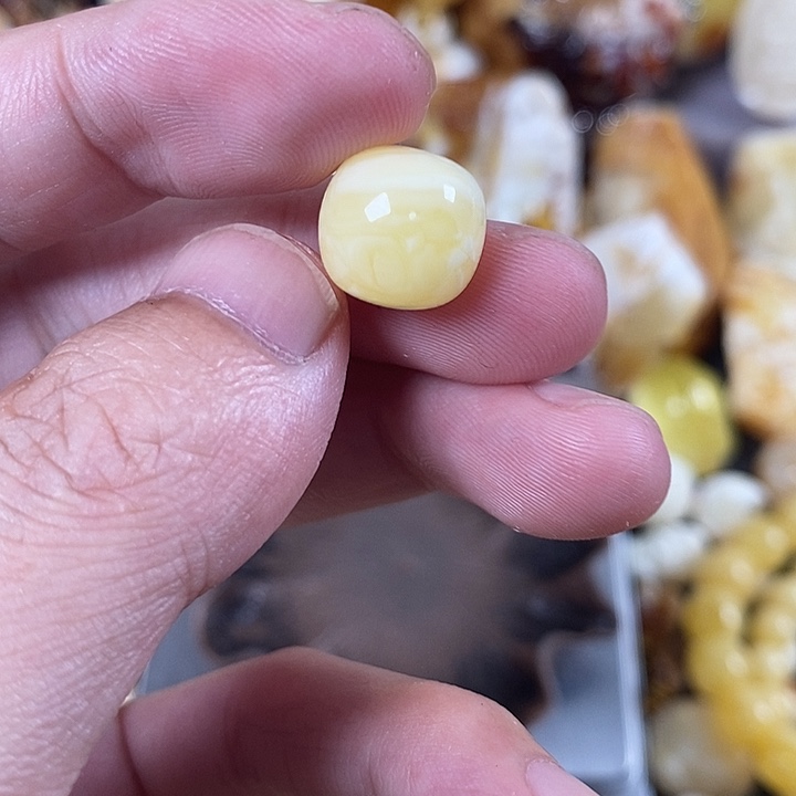 琥珀未镶嵌裸石我