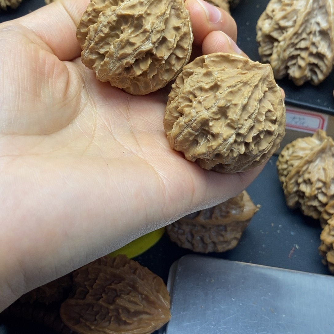 桃核吊坠秦岭霸王龙39