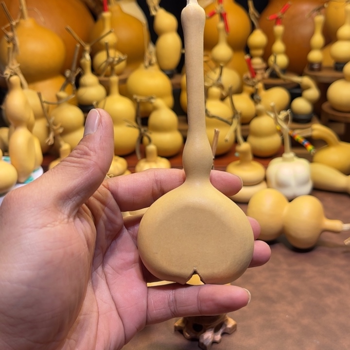 长嘴八宝一把 夹扁