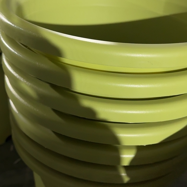 四季8号果绿无托5个特价微瑕