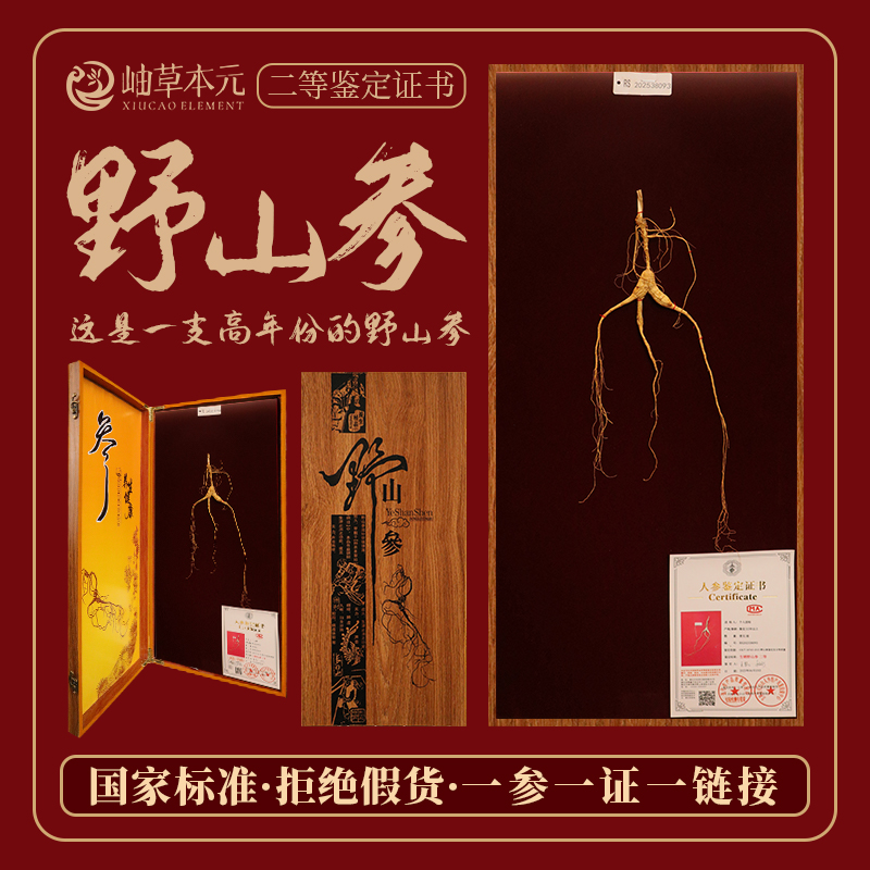 【国家标准】长白山二等野山参GB/T18765-2015吉林检测60板 B31-B40