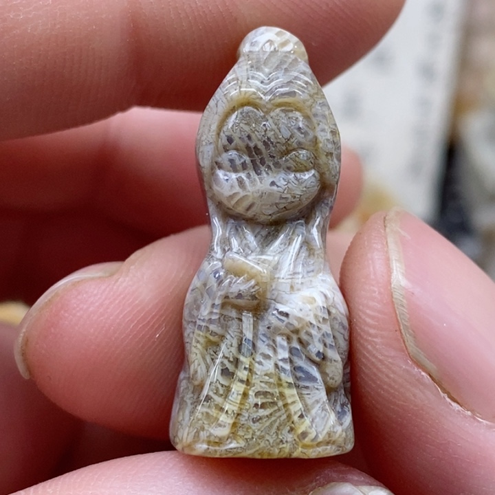 颈饰未镶嵌硅化珊瑚（珊瑚玉）小