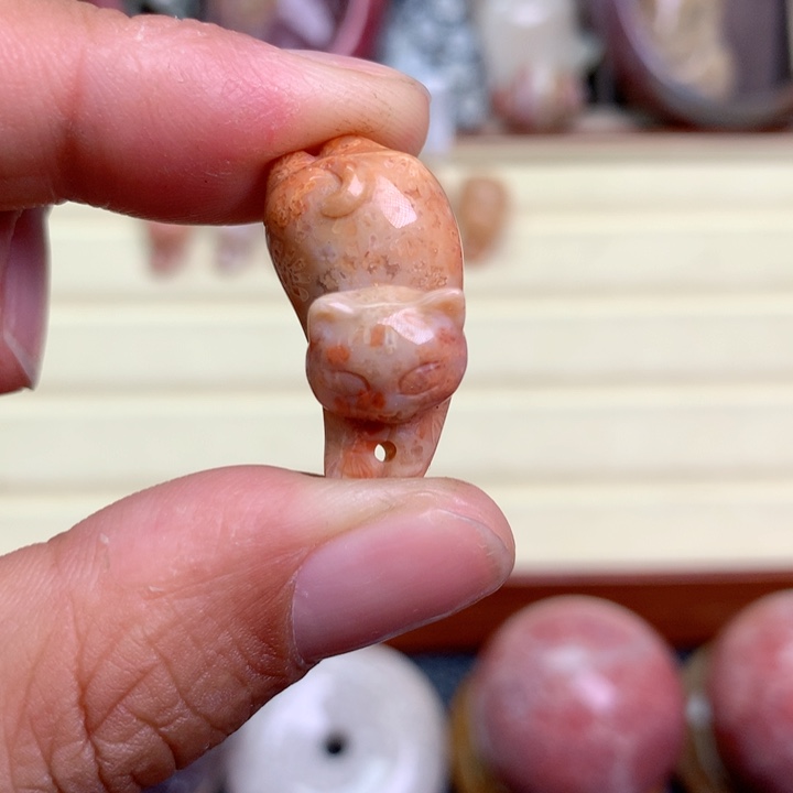 硅化珊瑚（珊瑚玉）未镶嵌颈饰