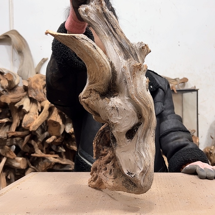 柏木小**艺我们都是好孩子