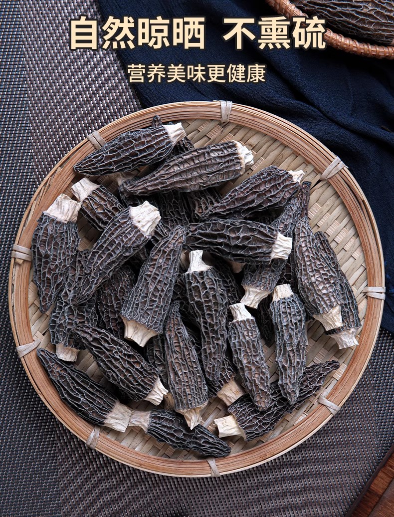 云南高山羊肚菌2-4厘米（剪脚）林下仿野生种植