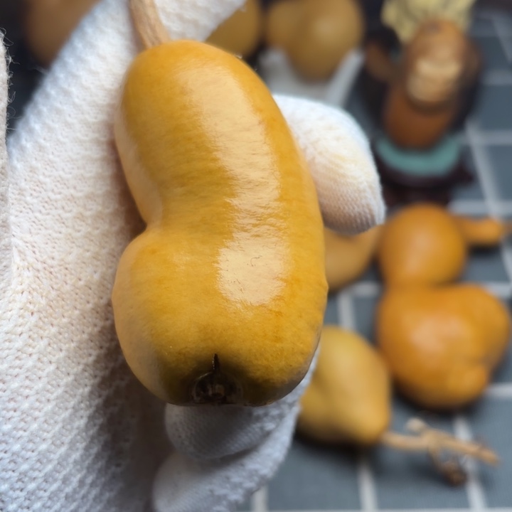 毛****666666666666666666