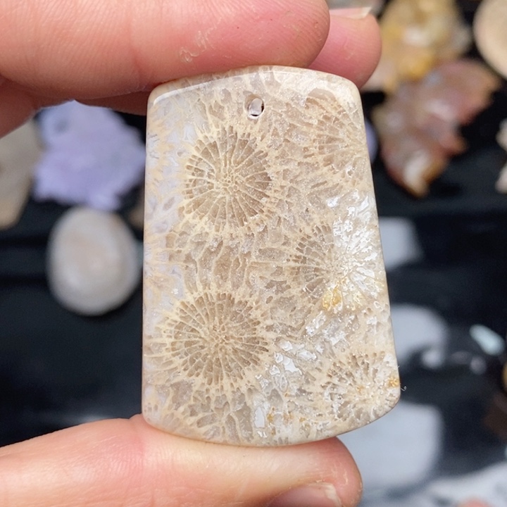 硅化珊瑚（珊瑚玉）手镯未镶嵌