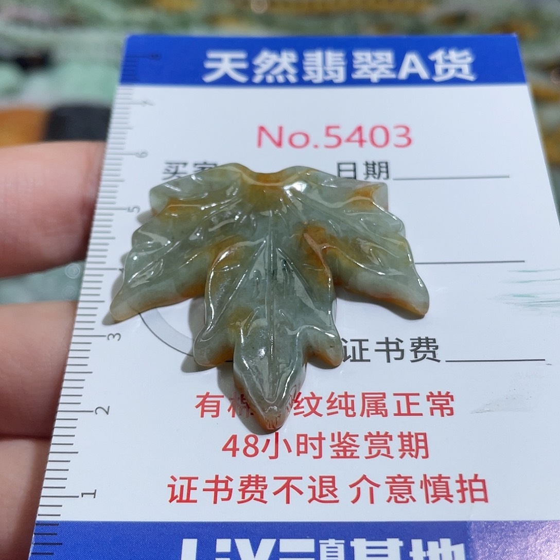 翡翠未镶嵌挂件5403
