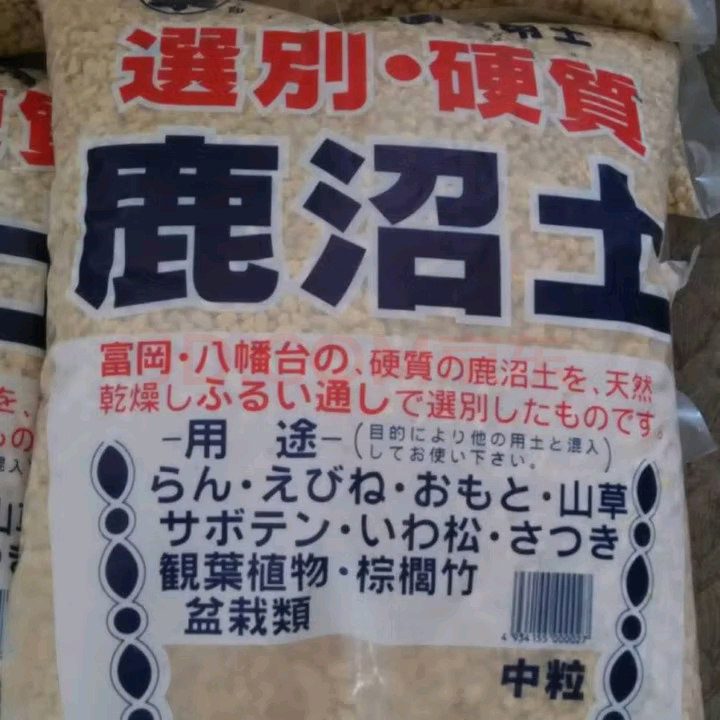 鹿沼土进口杜娟盆景