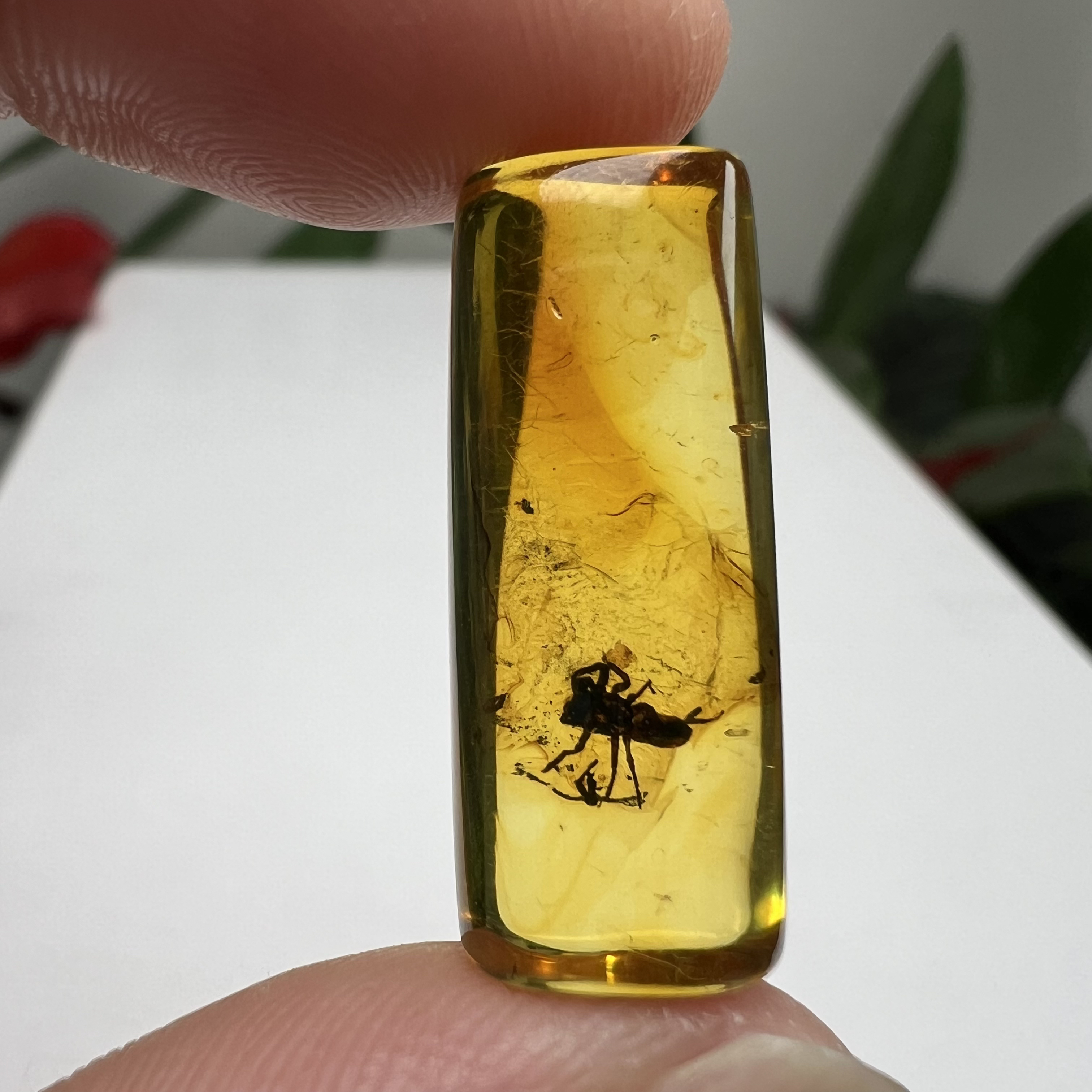 远古时代的天然虫珀尺寸：25.5*10mm