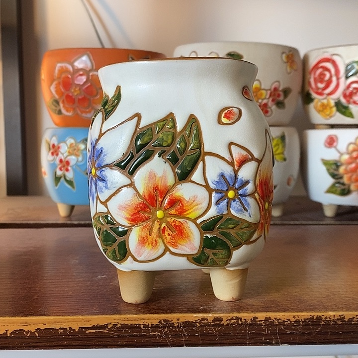 韩式多肉植物花盆