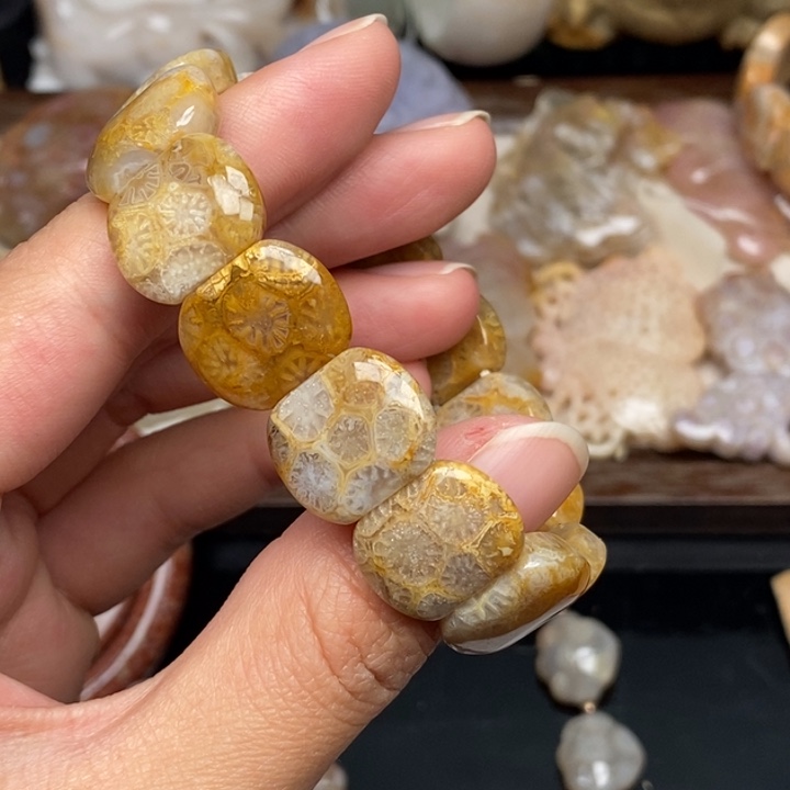 硅化珊瑚（珊瑚玉）手镯未镶嵌