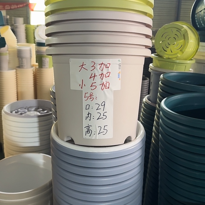 四季5#口径29灰白10个无托