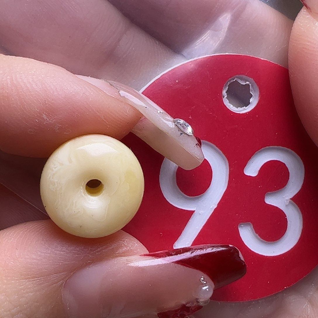 蜜蜡未镶嵌珠宝奇石海**12mm墩子