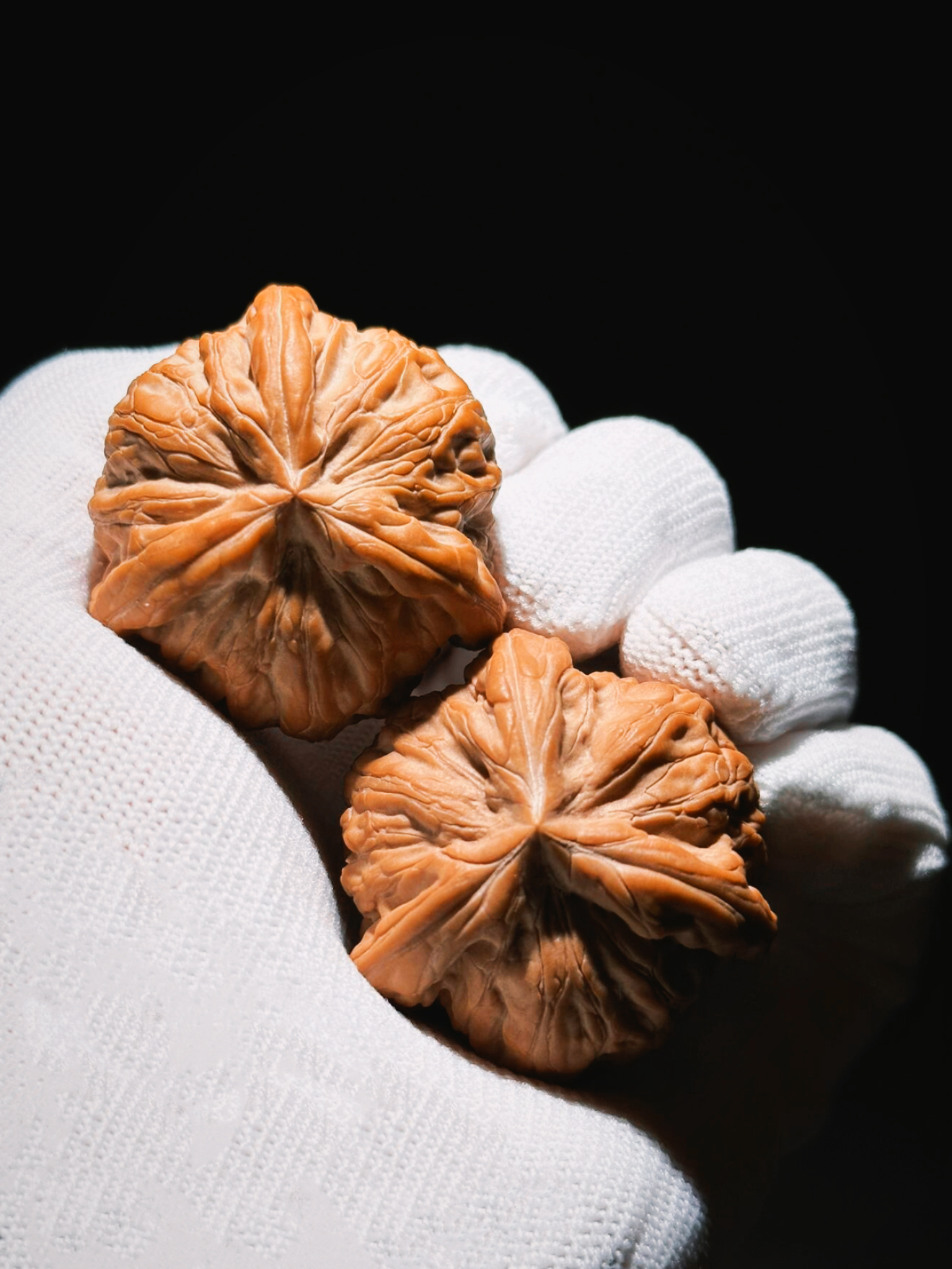 文玩核桃三棱正奔