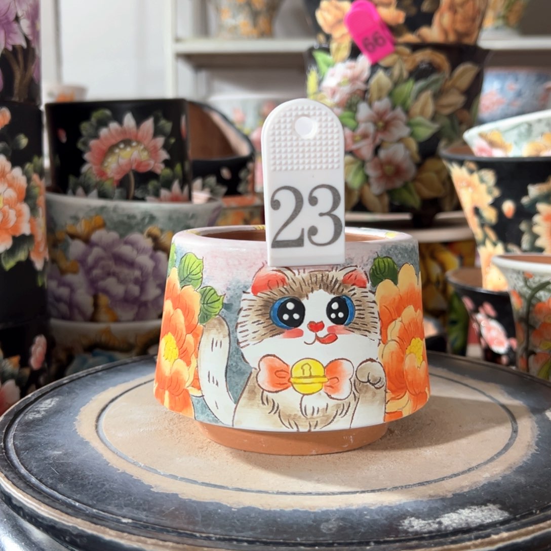 满38包邮 不满足不发哈