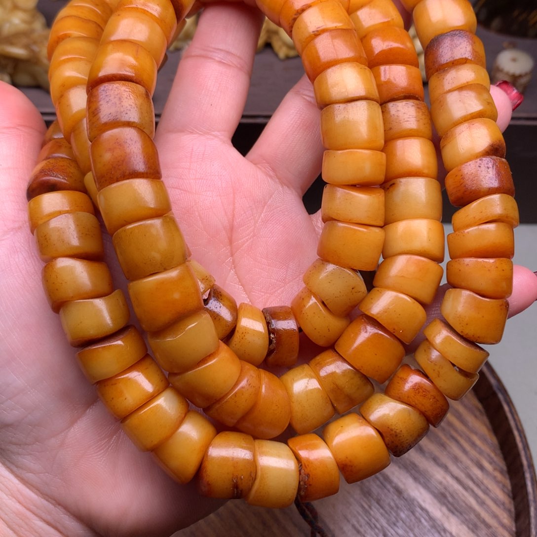 驼骨其他好看驼骨