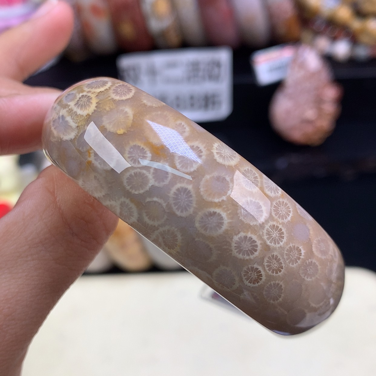 【闪购商品】颈饰未镶嵌硅化珊瑚（珊瑚玉）84号精美手镯52.4圈