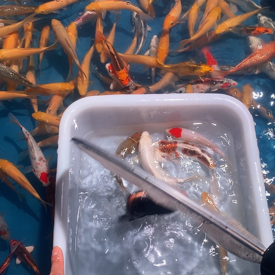 海水46啊啊啊啊啊啊啊啊啊