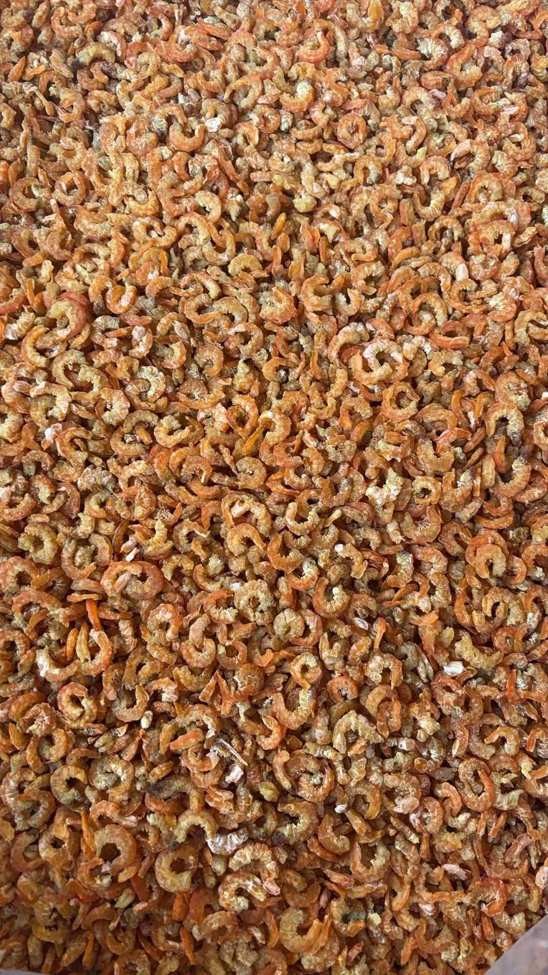 【三妹专线】本港小虾米 虾味浓郁