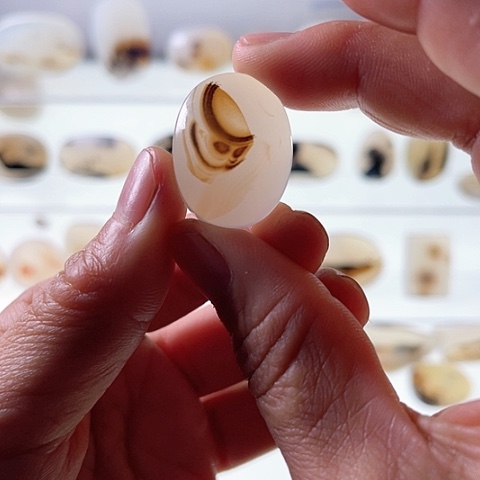 【闪购商品】玛瑙/玉髓珠宝半成品未镶嵌